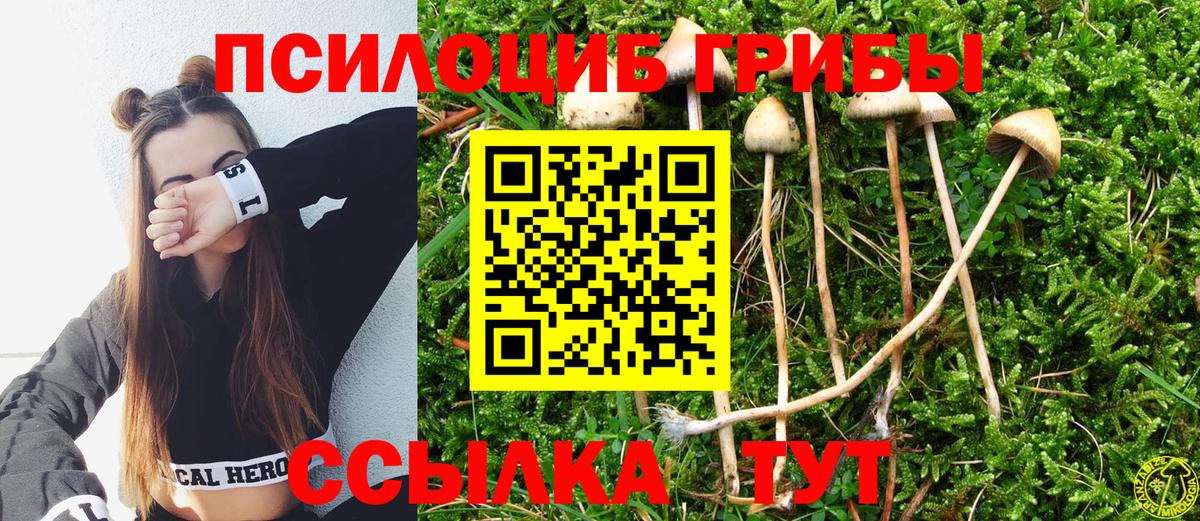 Галлюциногенные грибы MAGIC MUSHROOMS  хочу наркоту  Корсаков  Вход с VPN 